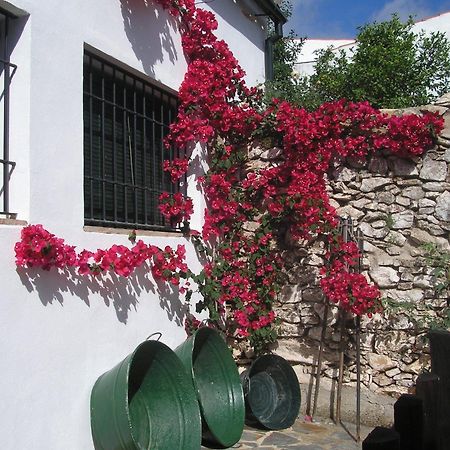 Maison d'hôtes Casa Rural Y Restaurante Casa Adriano à Alanís Extérieur photo